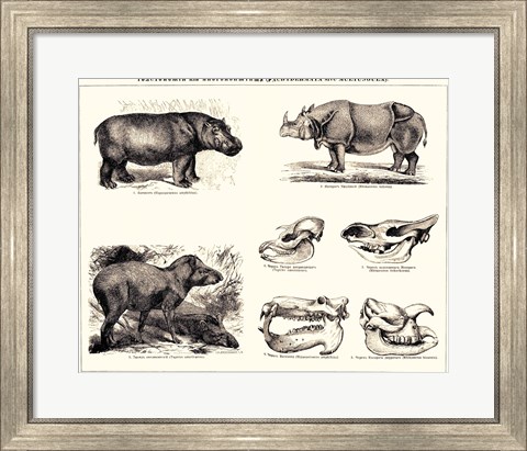 Framed Brockhaus and Efron Encyclopedic Dictionary Print