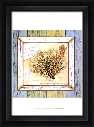 Framed Sea Treasures III Print