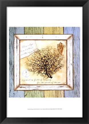 Framed Sea Treasures III Print