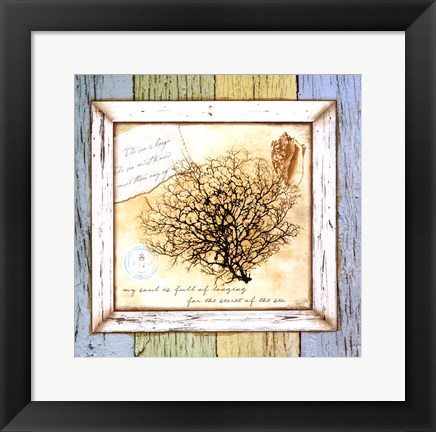 Framed Sea Treasures III Print