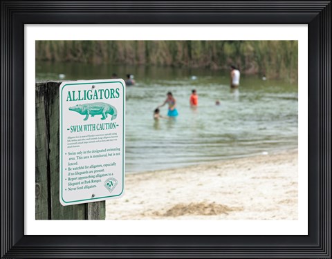 Framed Alligators warning sign at the lakeside, Florida, USA Print