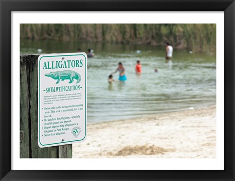 Framed Alligators warning sign at the lakeside, Florida, USA Print