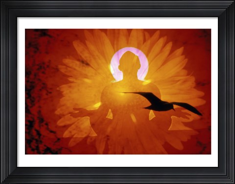 Framed Image of a flower and bird superimposed on a person meditating Print