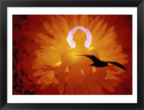 Framed Image of a flower and bird superimposed on a person meditating Print