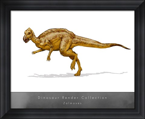 Framed Zalmoxes Print