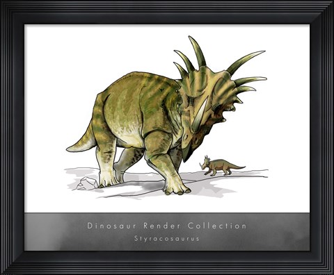 Framed Styracosaurus Print