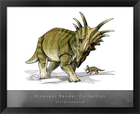 Framed Styracosaurus Print