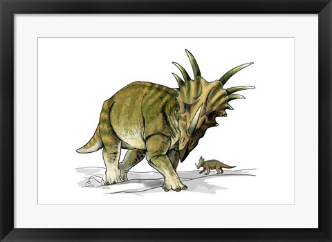 Framed Styracosaurus Print