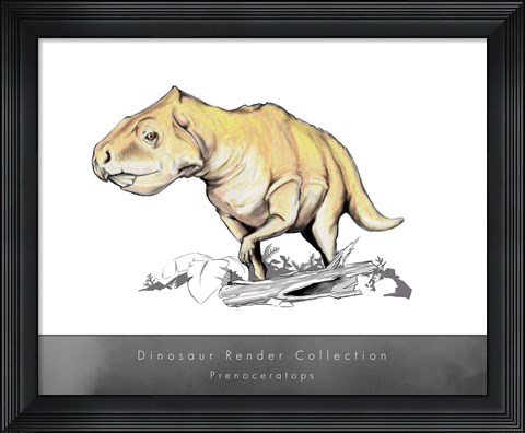 Framed Prenoceratops Print