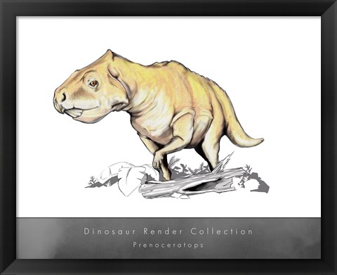 Framed Prenoceratops Print