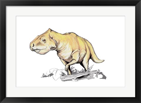 Framed Prenoceratops Print