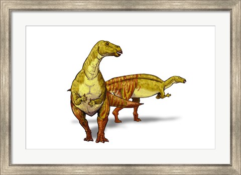 Framed Nanyangosaurus Print