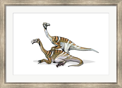 Framed Nanshiungosaurus Print