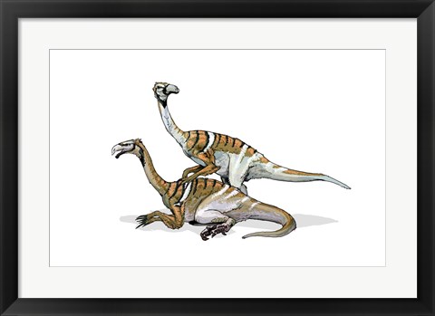 Framed Nanshiungosaurus Print