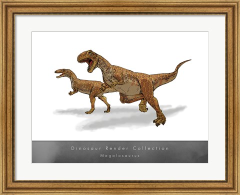 Framed Megalosaurus Print