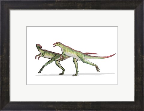 Framed Lesothosaurus Print