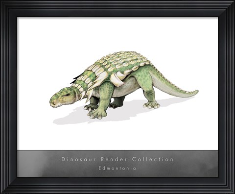 Framed Edmontonia Print