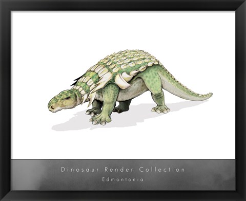 Framed Edmontonia Print