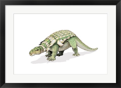 Framed Edmontonia Print