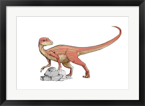 Framed Abrictosaurus Print