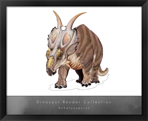 Framed Achelousaurus Print