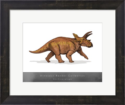 Framed Anchiceratops Print