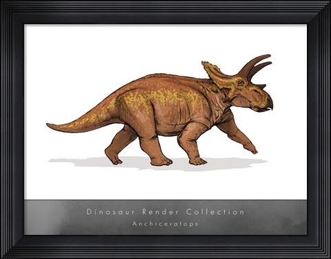 Framed Anchiceratops Print