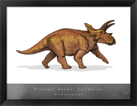 Framed Anchiceratops Print