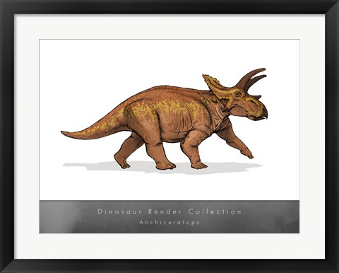 Framed Anchiceratops Print