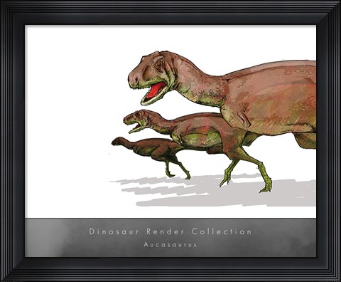 Framed Aucasaurus Print
