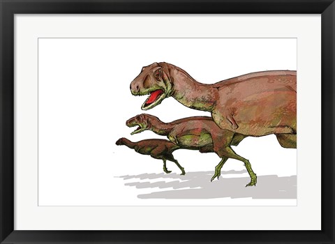 Framed Aucasaurus Print