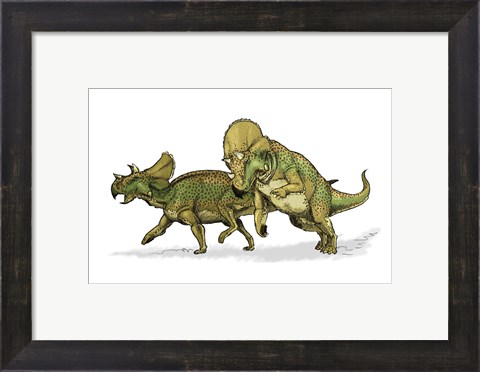 Framed Avaceratops Print