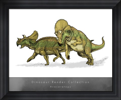 Framed Avaceratops Print