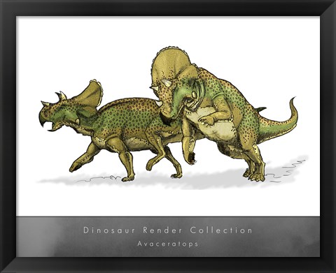 Framed Avaceratops Print