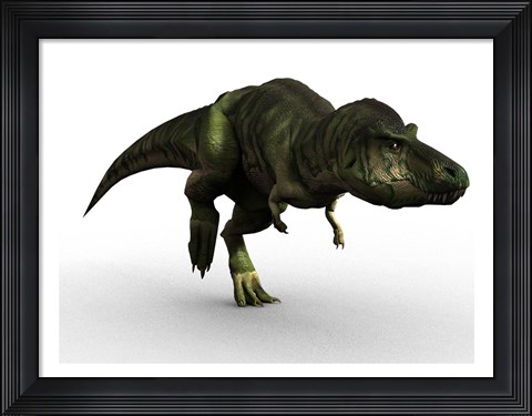 Framed T Rex Print