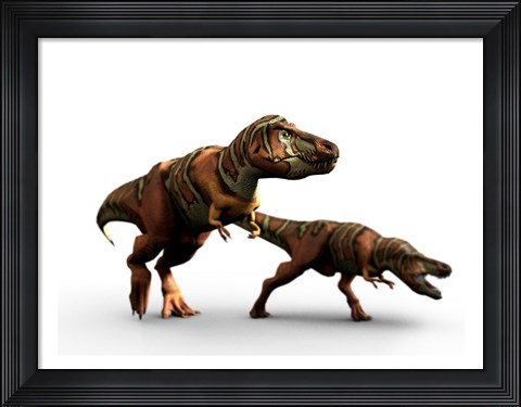 Framed T Rex Pair Print