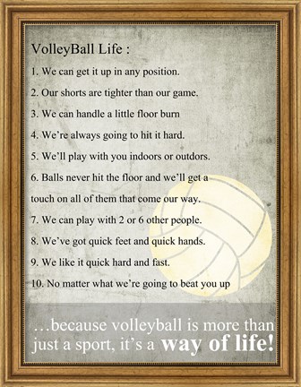 Framed Volleyball Life Print