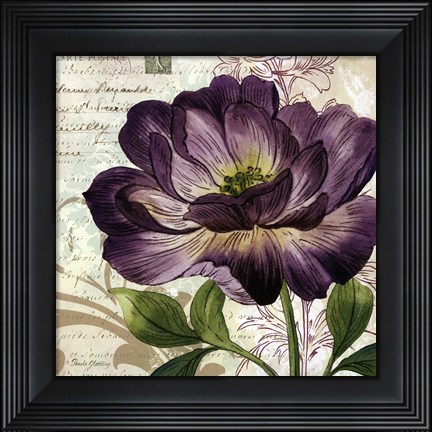 Framed Study in Purple II -mini Print