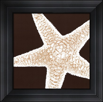Framed Natural Shell I - mini Print