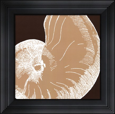 Framed Natural Shell II - mini Print