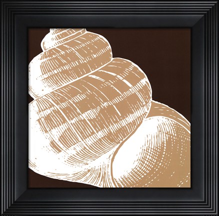 Framed Natural Shell III - mini Print