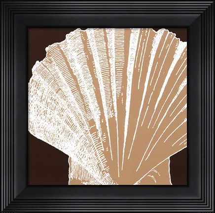Framed Natural Shell IV - mini Print