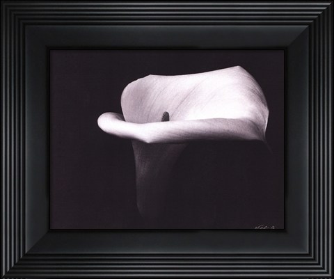 Framed Calla Lilly III - mini Print