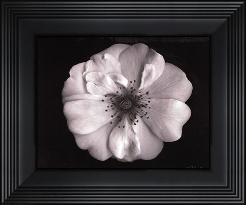 Framed Classic Beauty - mini Print