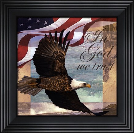 Framed Freedom I Print