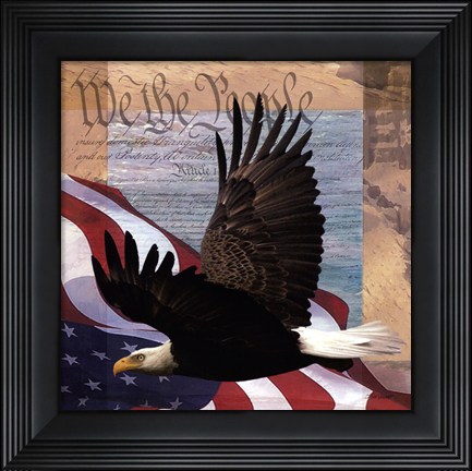 Framed Freedom II Print