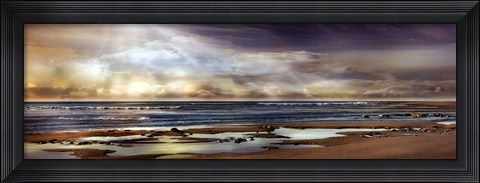 Framed TIDAL POOL Print