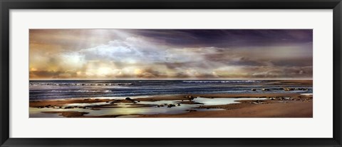 Framed TIDAL POOL Print