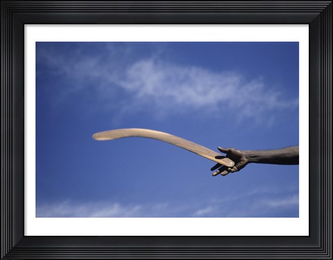 Framed Throwing Non- Return, Fighting Boomerang, Australia Print