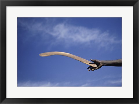 Framed Throwing Non- Return, Fighting Boomerang, Australia Print